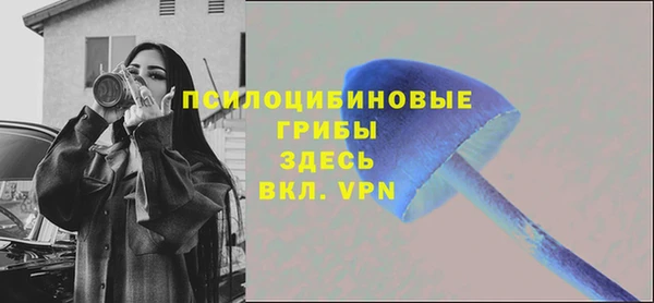 скорость Алексеевка