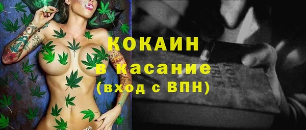 дмт Абаза